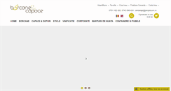 Desktop Screenshot of borcane.ro